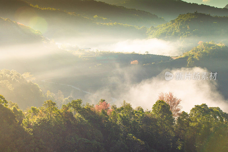 在Doi angkhang清迈自然景观风景秀丽的日出在泰国北部